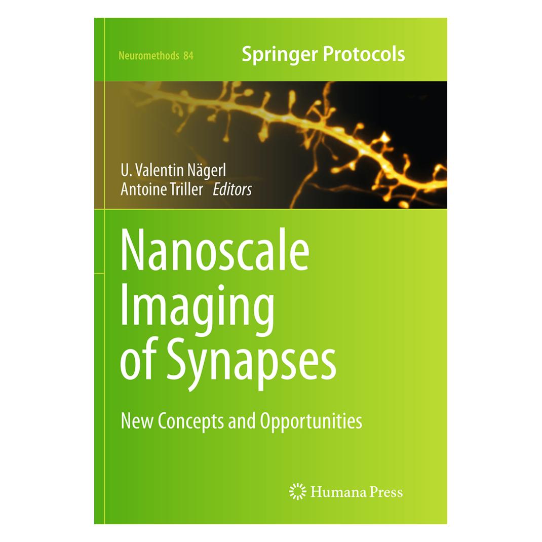 Springer Nanoscale Imaging of Synapses (Englisch, Softcover, Antoine Triller, U. Valentin Nägerl) (55833908)