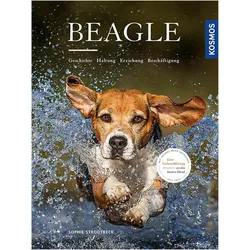 Beagle, Ratgeber von Sophie Strodtbeck