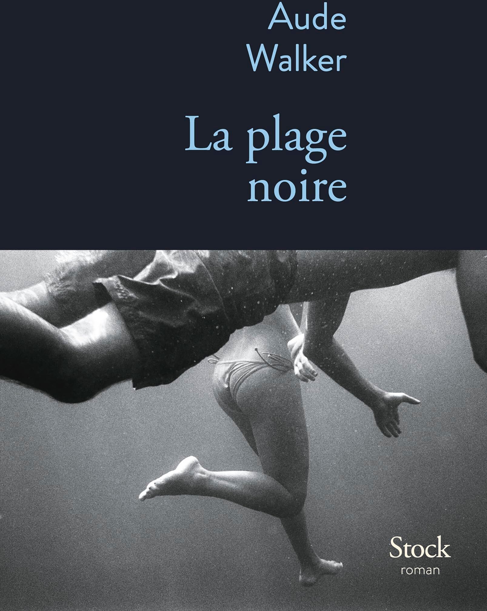 Aude Walker - La plage noire - Preis vom 10.10.2026 11:48:34 h