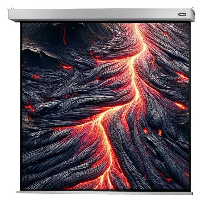 Celexon Electric Professional Plus Square format - Leinwand - Deckenmontage möglich, gee (1:1) (1090757)