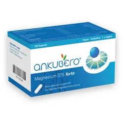 Magnesium 375 forte 120 St