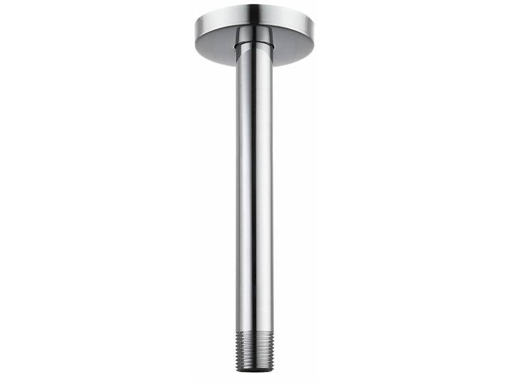 Duscharm mit Flansch, Deckenmontiert, 25cm Rund, 1/2 NPT Anschluss, Edelstahl