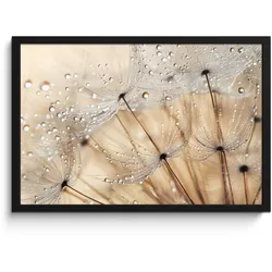 POSTER MIT RAHMEN Löwenzahn - Abstrakt - Natur - Beige 60x40 cm