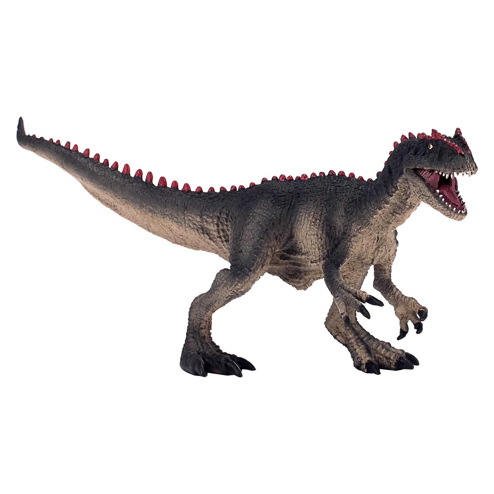 small foot Allosaurus mit Gelenkkiefer (387383)
