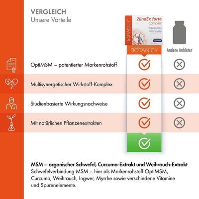 Zündex forte Complex mit OptiMSM Kapseln 2x 2x60 St