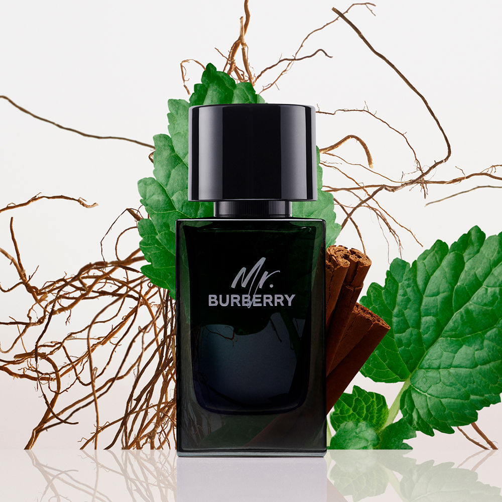 M. Burberry eau de parfum vapeur 100 ml