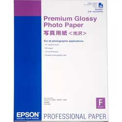 EPSON Premium Glossy Photo Paper DIN A2 25 Blatt 250g/m2 C13S042091