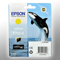 Epson Tinte C13T760440 yellow T7604
