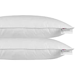 KOPFKISSEN 2er-Set Federn & Daunen 40/80 cm
