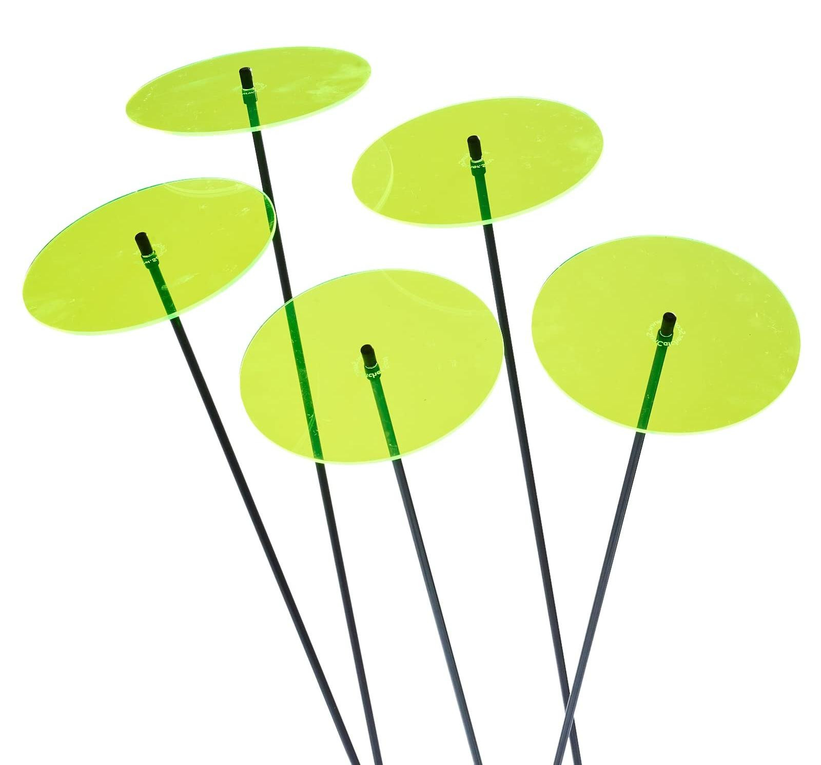 Set van 5 Fluorescerende Zonnevangers Groen