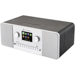 GoGen Internet DAB+ Radio IR257BTDAB (DAB+, FM, Bluetooth, WLAN), Radio, Silber