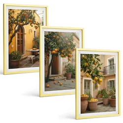 BILDER SET 3er Set - 40x60 cm Goldrahmen - Garten-Zitrus-Sonne
