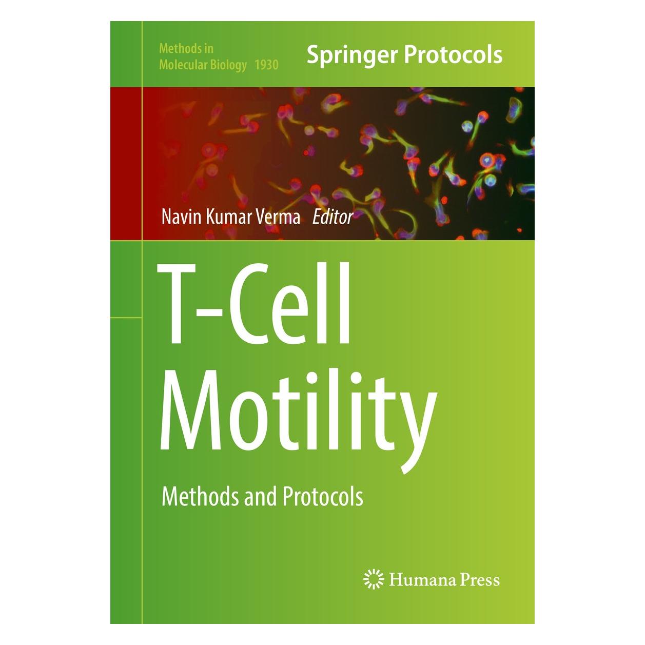 Springer T-Cell Motility: Methods and Protocols (Englisch, Hardcover, Navin Kumar Verma) (9781493990351)