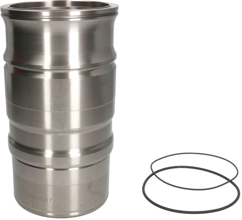 Mahle Camicia del cilindro 061 WN 17