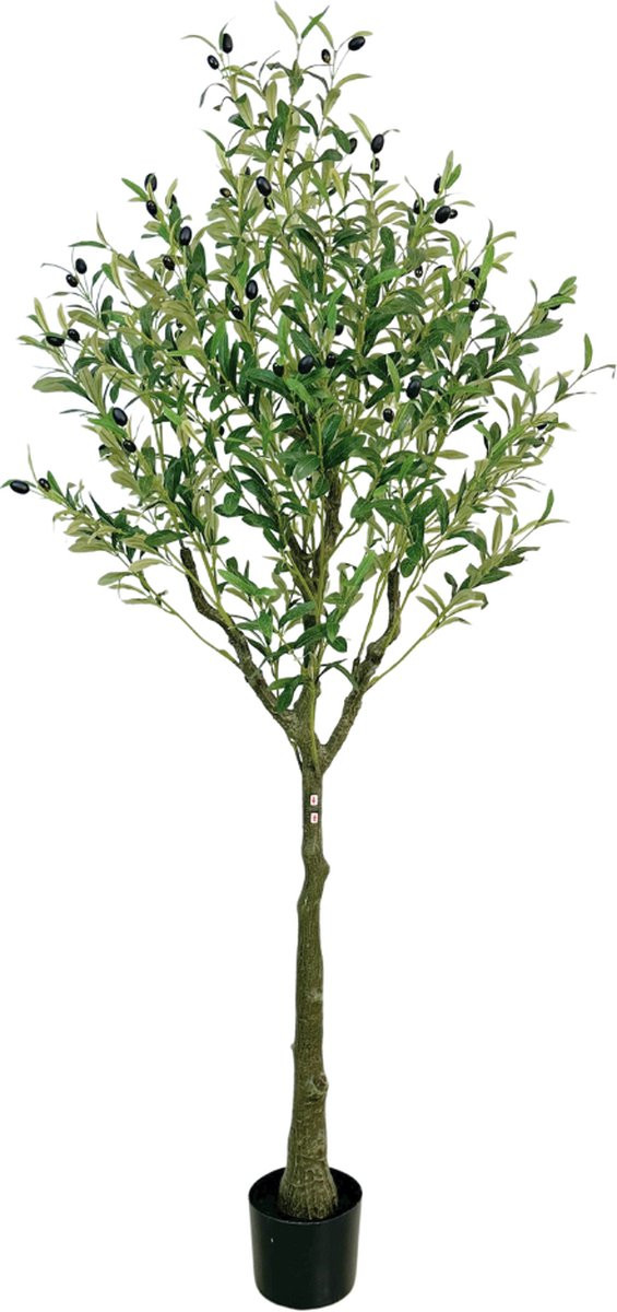 Buxibo Kunstmatige Olijfboom - 1.8 Meter - Groen