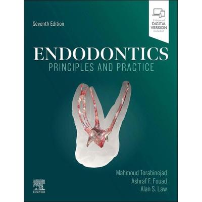 Endodontics, Taschenbuch von , Elsevier, 978-0-443-11885-2