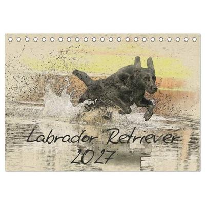 Labrador Retriever 2027 (Tischkalender 2027 DIN A5 quer), CALVENDO Monatskalender