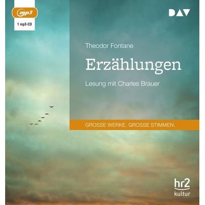 Erzählungen - Theodor Fontane, Audio, 9783742423375