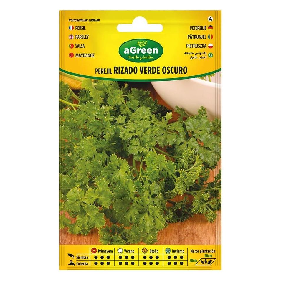 Agreen Envelope with dark green curly parsley seeds (Kräutersamen) (67605978)