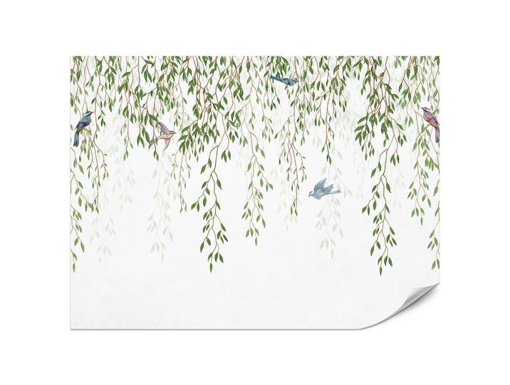 FOTOTAPETE für Schlafzimmer Trauerweide Äste Vögel Frühling Blätter 200x140