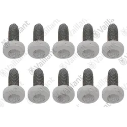 Vaillant Schraube, (x10) Vaillant-Nr. 0020213959