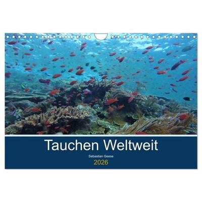 Tauchplätze Weltweit (Wandkalender 2026 DIN A4 quer), CALVENDO Monatskalender