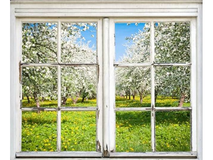 Queence Wandsticker, 90x60 cm Selbstklebende Vinylfolie, 3D-Effekt, Fenster Bäume, Garten, Modern, Wanddekoration, (WS1226, 90x60 cm, Horizontal)