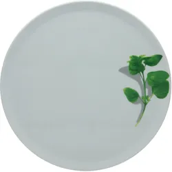 Pizzateller KRÄUTER BASILIKUM (D 33 cm) - weiß - D 33 cm
