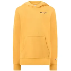 CHAMPION Hooded Sweatshirt AGD - XL