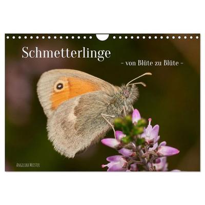 Schmetterlinge - von Blüte zu Blüte - (Wandkalender 2026 DIN A4 quer), CALVENDO Monatskalender