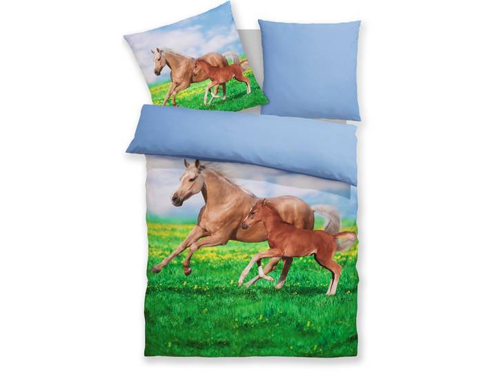 Bettwäsche GOODPRODUCT Lyki , pferd, B/L: 135cm x 200cm, 1 Stk., 1 Stk., Microfaser, B/L: 80cm x 80cm, 2, Microfaser, Obermaterial: 100% Polyester, Bettwäsche, Bettwäsche, ab Grösse 135x200 cm, 100% Polyester, Katze, Pferd, Löwe, Pinguin