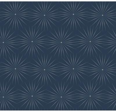 Antonina Vella Starlight Blue & Silver Wallpaper