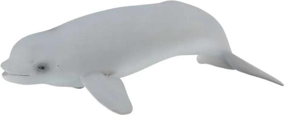 Collecta Beluga fokdier, grijs, 3-6 jaar