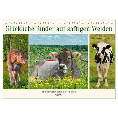 Glückliche Rinder auf saftigen Weiden (Tischkalender 2027 DIN A5 quer), CALVENDO Monatskalender
