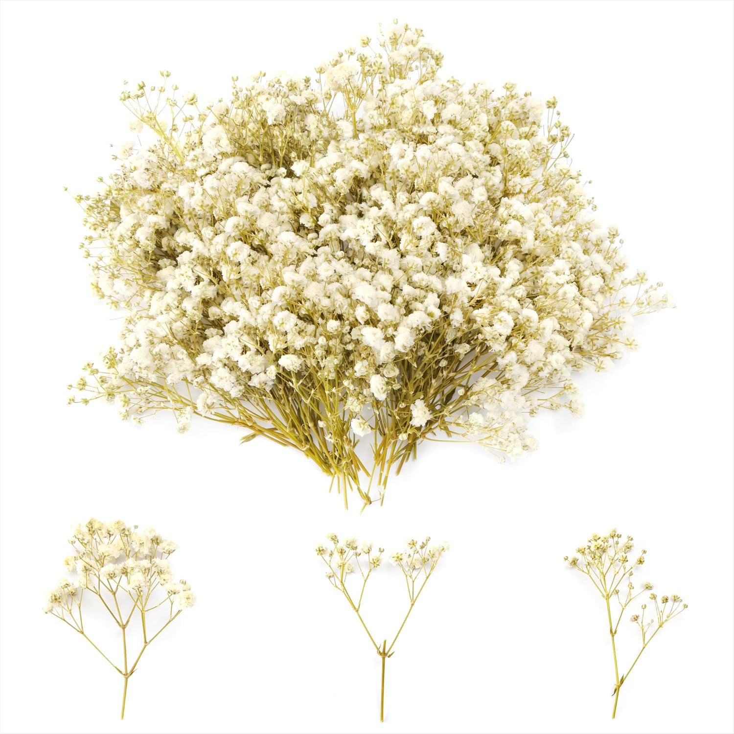 ServiceTopper Gypsophila gedroogde bloemen - 100 stuks - wit