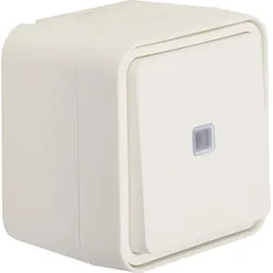 Berker Kontroll-Wechselschalter 31763502