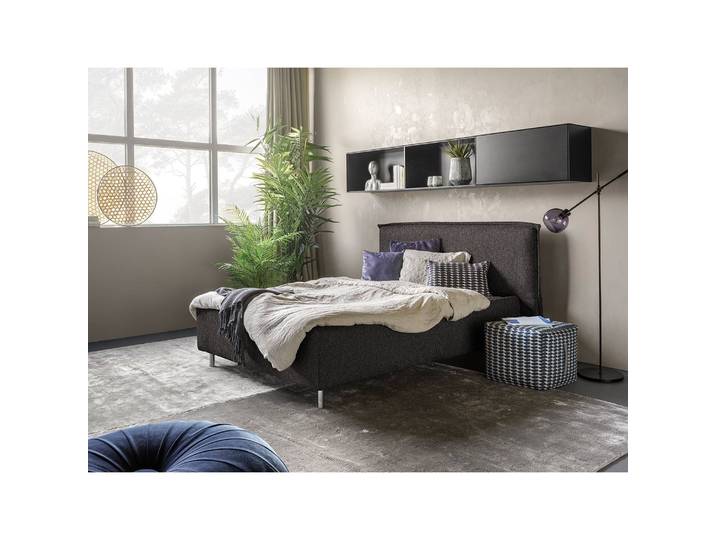 Polsterbett Homely 180 x 200cm Flachgewebe Nona Braun Buche