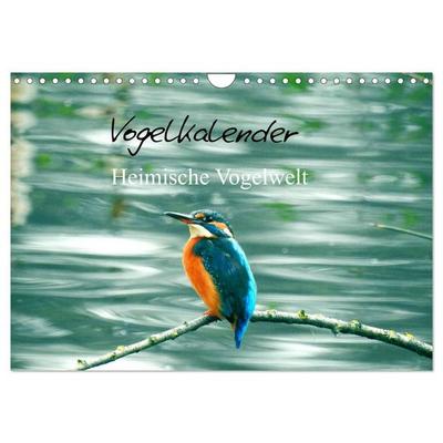 Vogelkalender (Wandkalender 2027 DIN A4 quer), CALVENDO Monatskalender