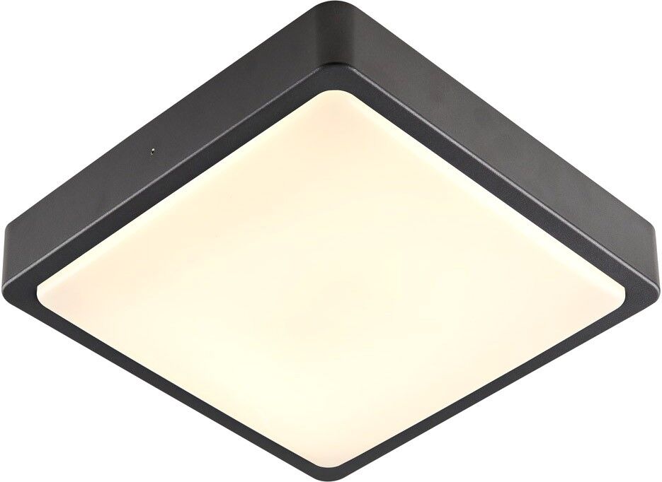Slv Ainos Square, Outdoor Led Wand- Und Deckenaufbauleuchte Anthrazit Cct Switch 3000k - Stand-, Wand- Und Deckenleuchten (Outdoor)
