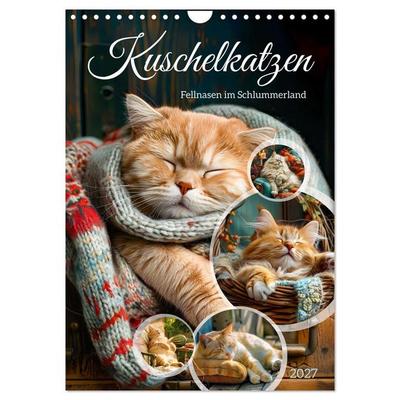 Kuschelkatzen - Fellnasen im Schlummerland (Wandkalender 2027 DIN A4 hoch), CALVENDO Monatskalender