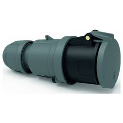 Bals Elektrotechnik 310492 310492 CEE Kupplung 1 St.