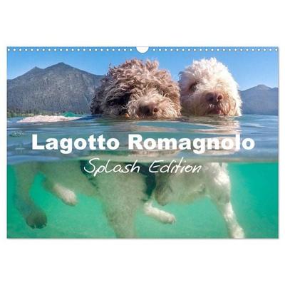 Lagotto Romagnolo Splash Edition (Wall Calendar 2027 DIN A3 landscape), CALVENDO 12 Month Wall Calendar