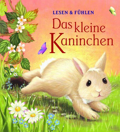 Parragon - Das kleine Kaninchen: Lesen & fühlen - Preis vom 15.10.2026 23:06:25 h