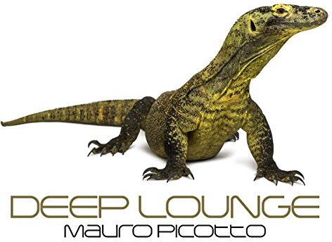 Mauro Picotto - Deep Lounge - Preis vom 17.10.2026 19:25:27 h