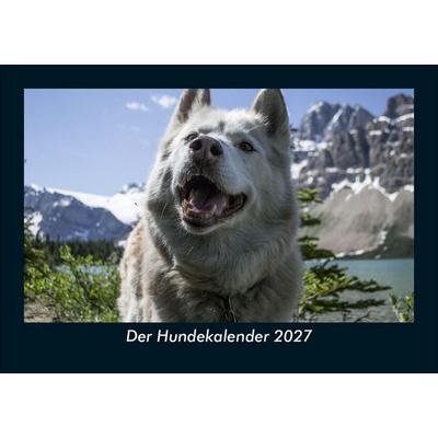 Der Hundekalender 2027 Fotokalender DIN A5