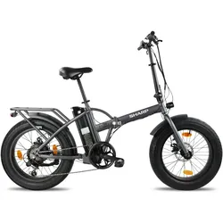 Sharp, E-Bike
