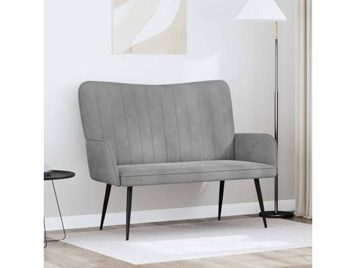 2-Sitzer Sofa Hellgrau Samt 115 x 61 x 87 cm mit Metall- und Holzrahmen Samtbezug, stabile Metall-Holz-Konstruktion, breite Armlehnen, kegelförmige Beine, kompakt für kleinere Räume