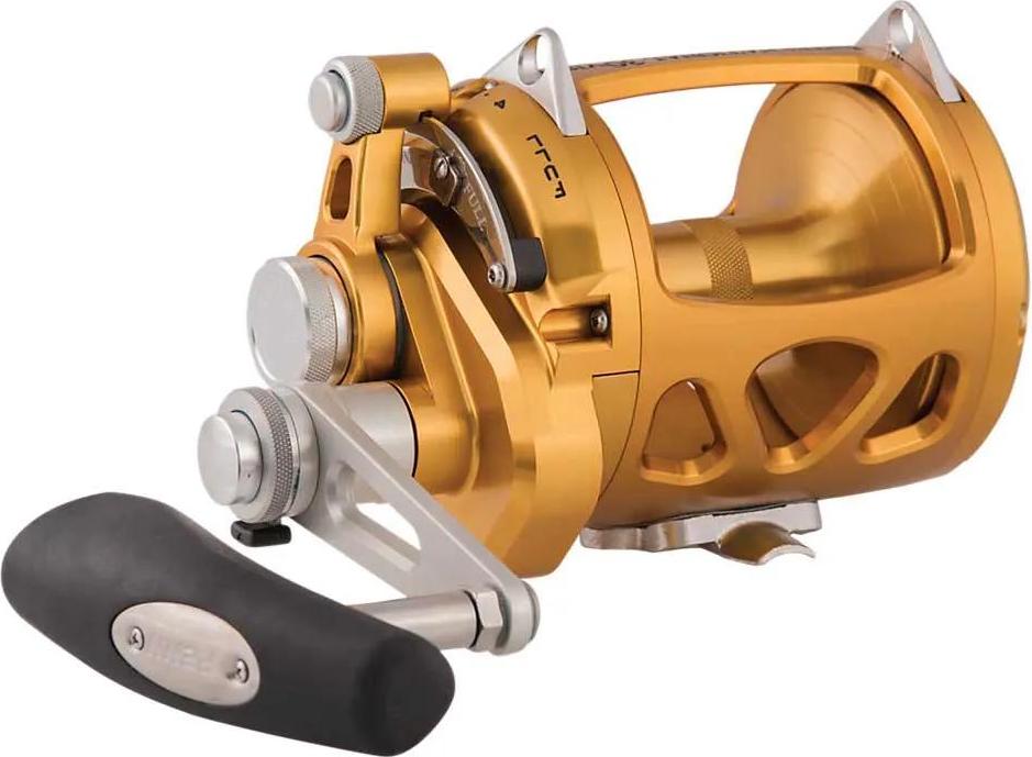 Penn International 30VISW Gold - Big Game Multirolle