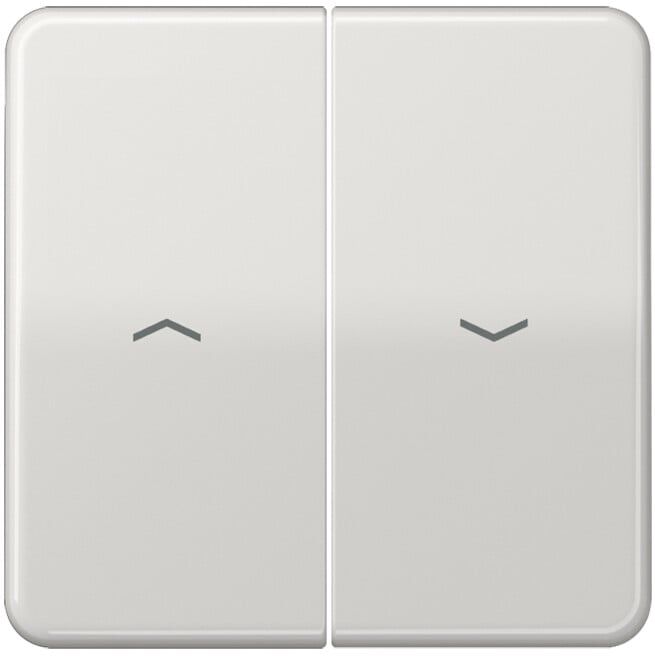 Jung Bascule symboles lgr pour bouton-poussoir CD 595 P LG (CD595PLG)