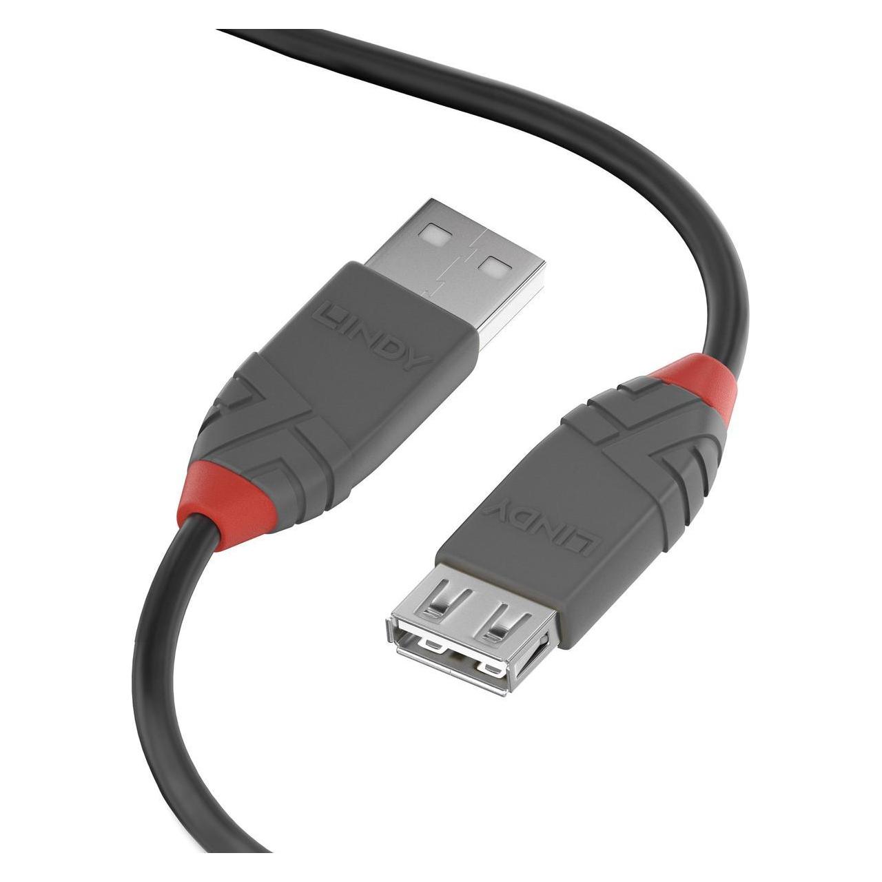 Lindy USB/A-USB/A M-F (1 m, USB 2.0) (36702)